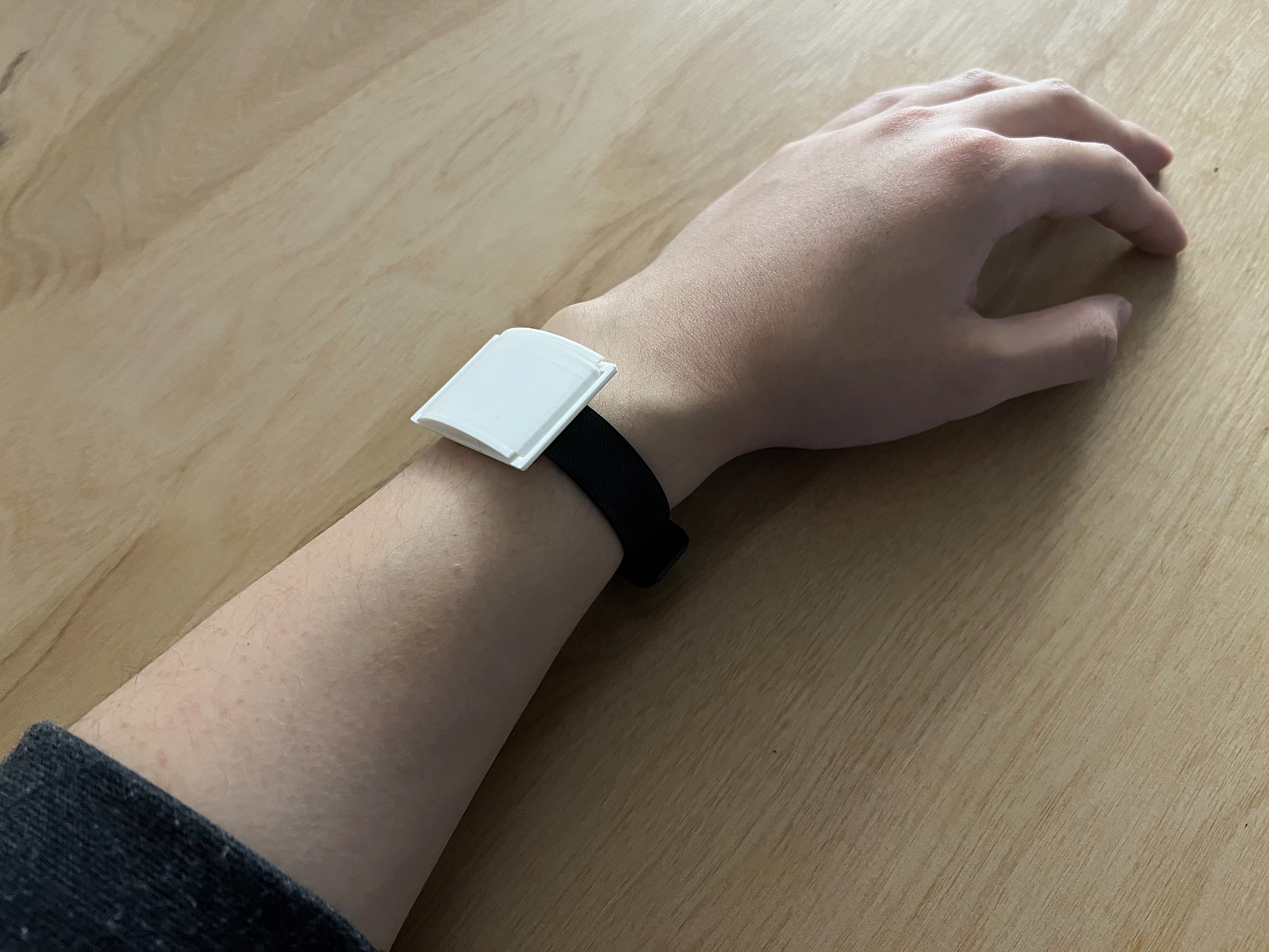 Variation 2 Physical Model